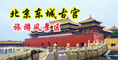 免费观看日本淫色小视频中国北京-东城古宫旅游风景区